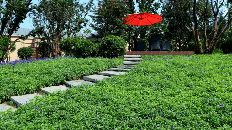 华亚·云玺sjt 9.png