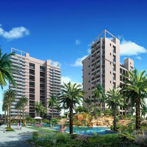 1606270058615923.jpg 1.jpg